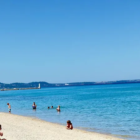 Kg 1 * פפקוהורי