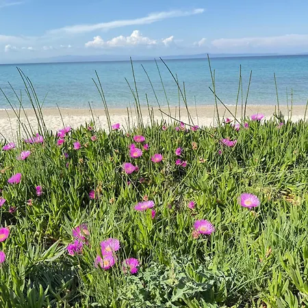 Kg 1 בית נופש פפקוהורי