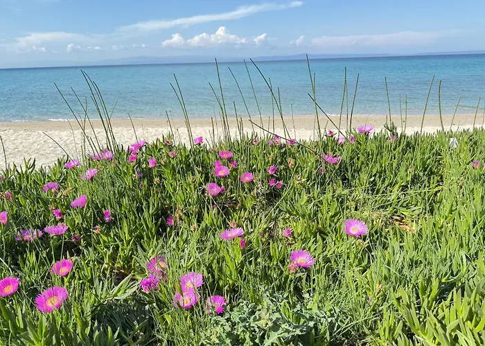 Kg 1 度假居 佩科霍里