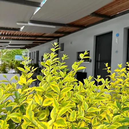 Holiday home K.g Pefkochori